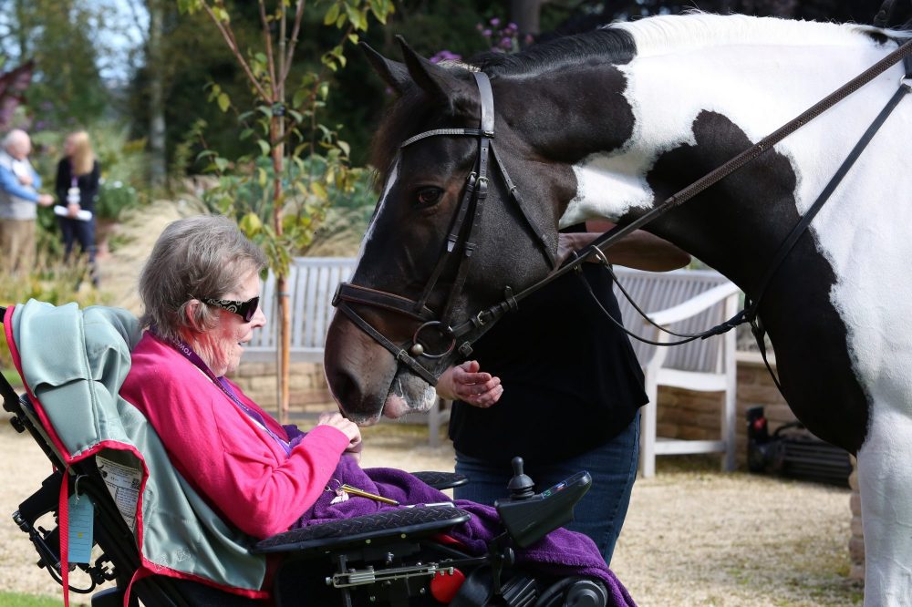 Pat meets Puzzle, a precious moment at Rowcroft Hospice