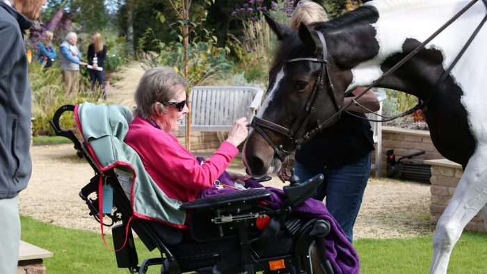 A patient in a wheelchair pets a horse in the hospice grounds.