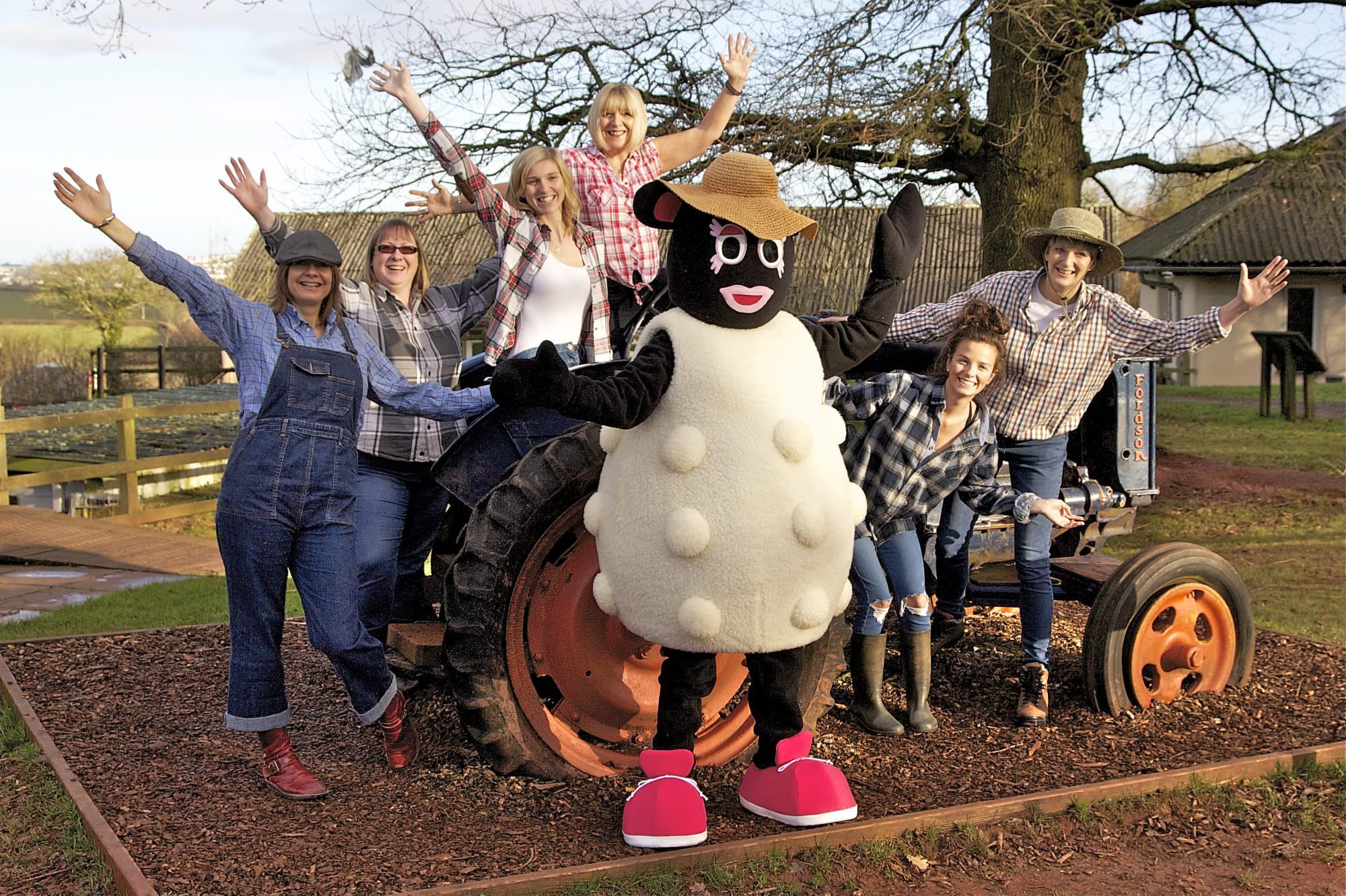 Barbra the sheep and Rowcroft employees wave whilst sat on a tractor.