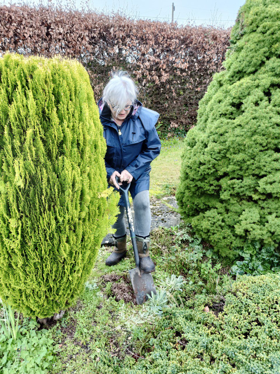Bernice Mooney digs a hole whilst gardening.