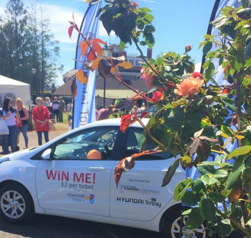 A raffle car is displayed along with some flowers at Rowcroft, in the sun.