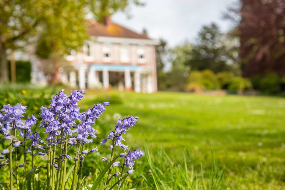 Flowers in Rowcroft's garden with the hospice in the background