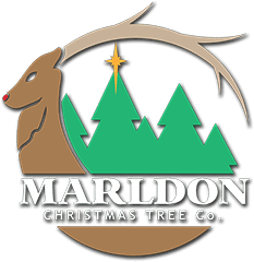Marldon Christmas Tree Farm logo