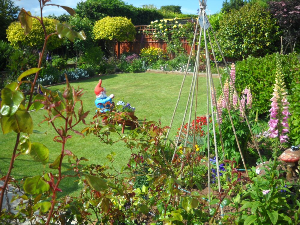 A lush green garden with a little garden gnome