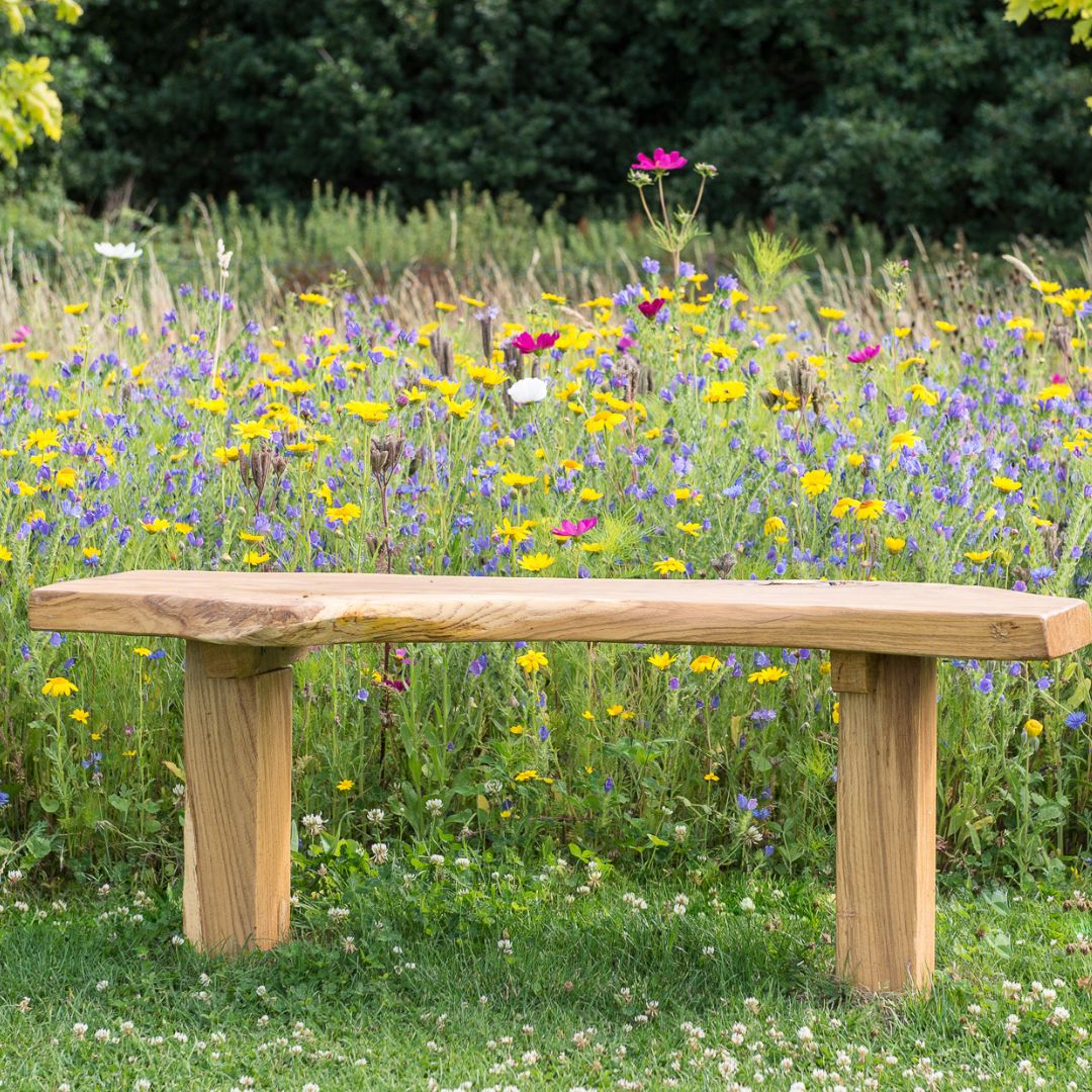A bench sits still in front of the meadow of memories.