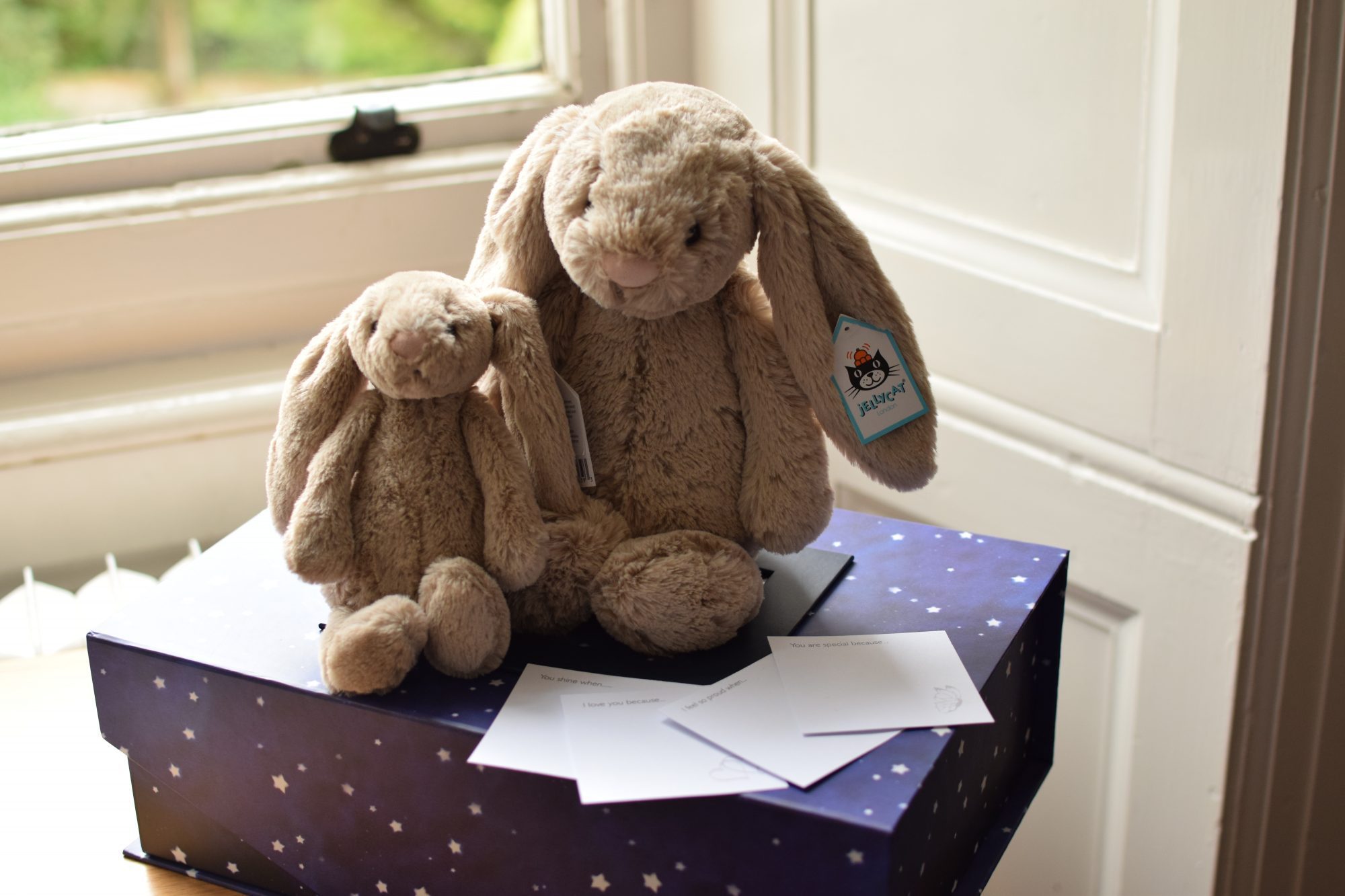 Two soft toy rabbits are placed on a purple memory box.