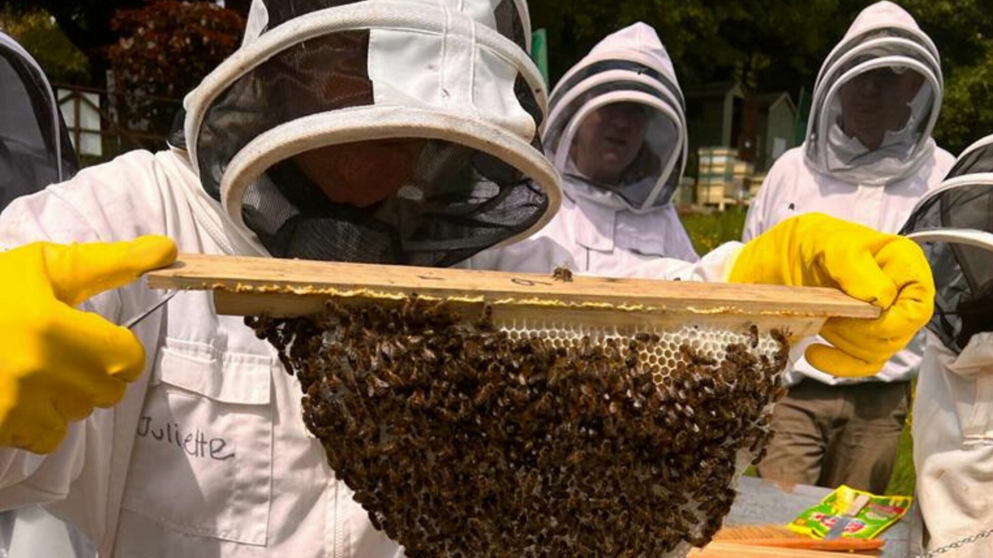 Rowcroft's beekeepers gathered around bees.